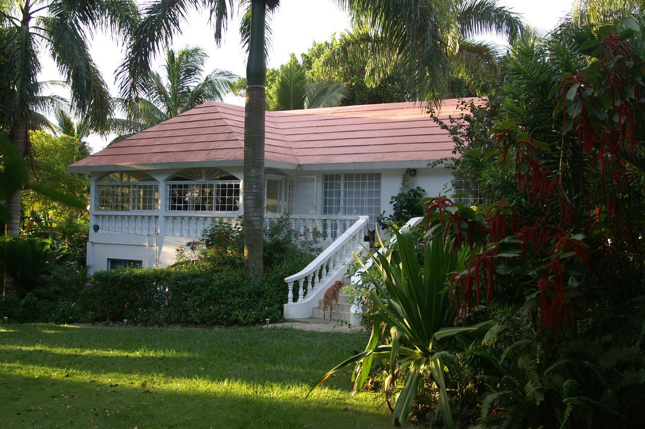 Apartment Playa Encuentro Cabarete Exterior foto